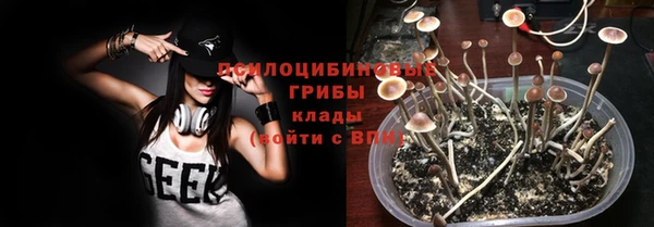 сатива Осташков