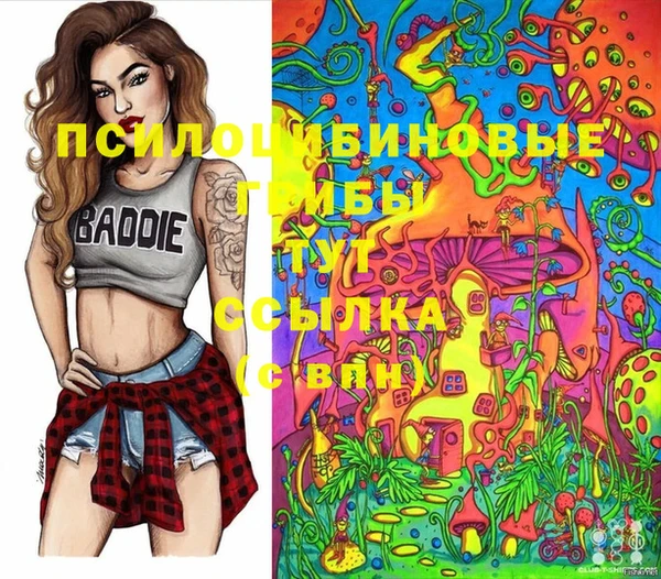 сатива Осташков