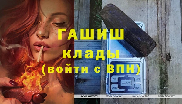 сатива Осташков