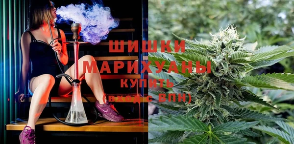 винт Осинники