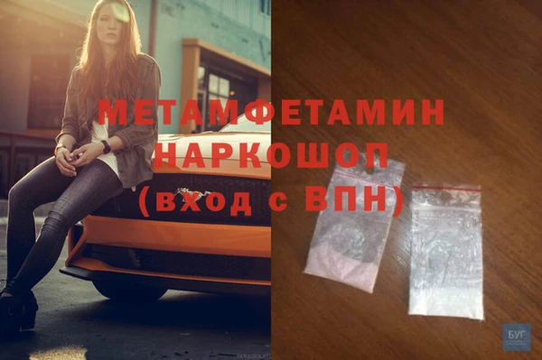 сатива Осташков